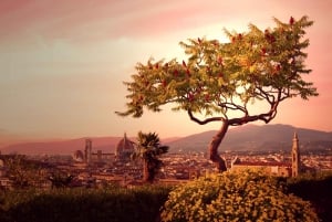 From Rome: Day Trip to Florence by High-Speed Train