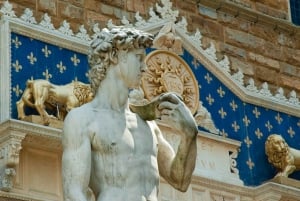 From Rome: Day Trip to Florence by High-Speed Train