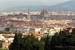 De Roma: viagem de um dia a Florença com almoço e entrada na Accademia