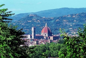 From Rome: Day Trip to Florence with Lunch