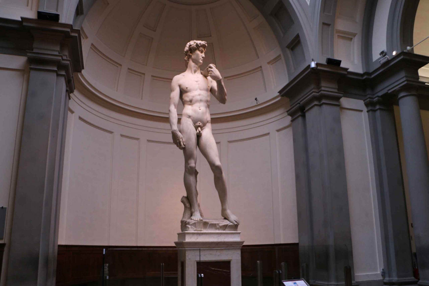 From Rome: Florence, Accademia Gallery, & Pisa Private Tour