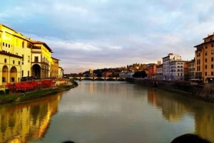 De Roma: Excursão de um dia a Florença e Pisa com ingresso para a Academia