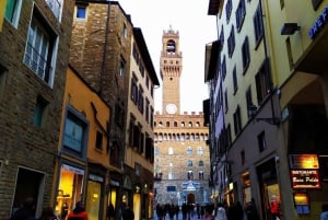 Från Rom: Florens och Pisa dagstur med Accademia-biljett