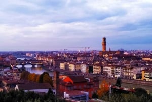 Från Rom: Florens och Pisa dagstur med Accademia-biljett