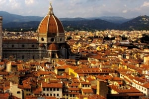 من روما: جولة جماعية صغيرة لمدة يوم كامل بين فلورنسا وبيزا