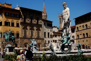 Fra Rom: Privat dagstur til Firenze og Pisa