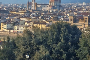 ローマ発：フィレンツェとピサ（斜塔入場付き）