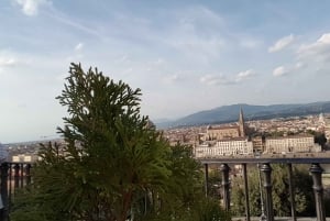 Florence from Rome: Full Day Tour by High-Speed Train