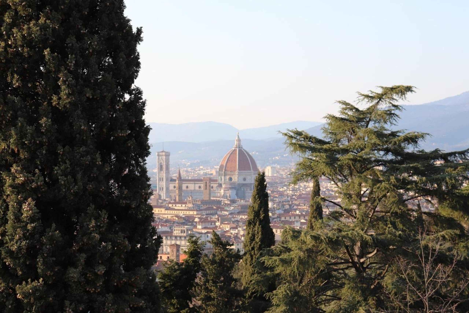 Desde Roma: excursión de 1 día a Florencia en tren rápido y visita a la Galería de la Academia