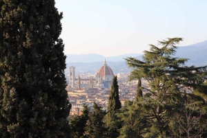 Desde Roma: excursión de 1 día a Florencia en tren rápido y visita a la Galería de la Academia