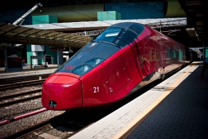From Rome: Guided Walking Tour of Florence with Train Ticket