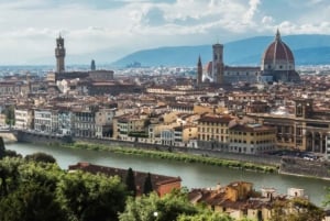 Fra Roma: Dagstur til Pisa og Firenze med Accademia Museum