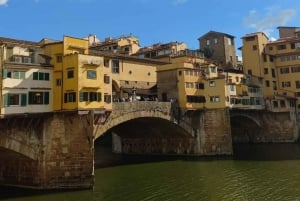 Z Rzymu: Jednodniowa wycieczka do Pizy i Florencji z Muzeum Akademii