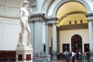 Desde Roma: Excursión de un día a Pisa y Florencia con el Museo de la Academia