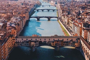 Fra Rom til Firenze og Pisa: Accademia og Santa Croce i lille gruppe