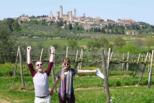 Från Rom: Toscana och Siena med vinprovning och lunch