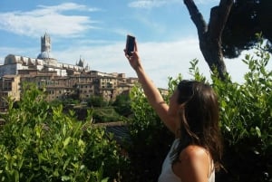 Från Rom: Toscana och Siena med vinprovning och lunch