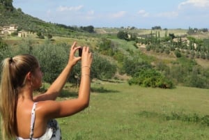 De Roma: Toscana e Siena com degustação de vinhos e almoço