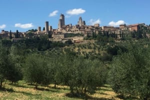 Fra Rom: Toscana og Siena med vinsmagning og frokost