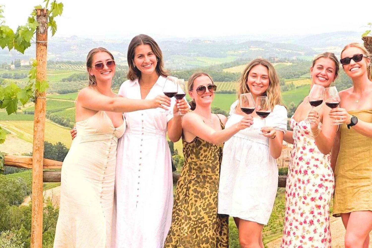 Tour del vino por la Toscana: 2 bodegas y San Gimignano desde Roma
