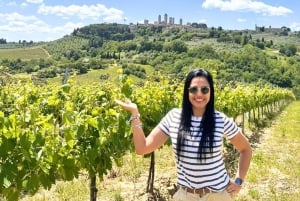 Tour del vino por la Toscana: 2 bodegas y San Gimignano desde Roma