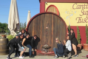 Tour del vino por la Toscana: 2 bodegas y San Gimignano desde Roma