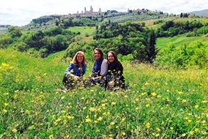 Tour del vino por la Toscana: 2 bodegas y San Gimignano desde Roma