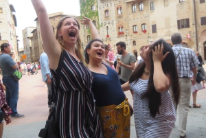 Tour del vino por la Toscana: 2 bodegas y San Gimignano desde Roma