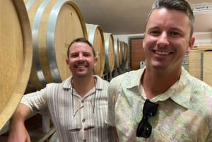 Tour del vino por la Toscana: 2 bodegas y San Gimignano desde Roma