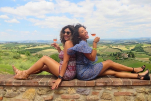 Tour del vino por la Toscana: 2 bodegas y San Gimignano desde Roma