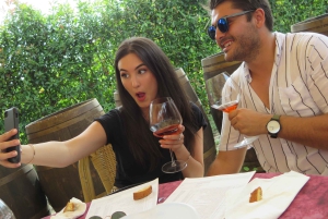 Tour del vino por la Toscana: 2 bodegas y San Gimignano desde Roma