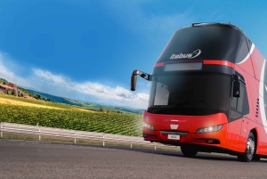 Fra Venedig: 1vejs busbillet til Firenze eller omvendt