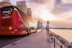 Fra Venedig: 1vejs busbillet til Firenze eller omvendt