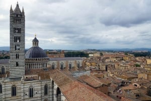 Heldagsudflugt til Siena, San Gimignano og Pisa