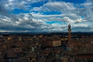 Heldagsudflugt til Siena, San Gimignano og Pisa