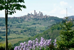 Full-Day Tour of Tuscany from Florence-small group up 8 pax