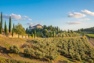 Tour in golf cart: i principali highlight di Firenze