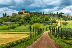 Halvdagsudflugt til Chianti: Smag hjertet af Toscana