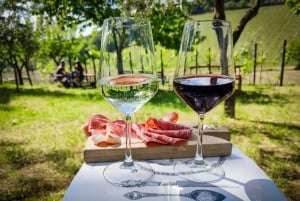 Halvdagsudflugt til Chianti: Smag hjertet af Toscana