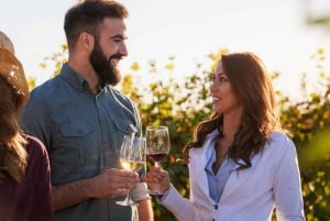 Halvdagsudflugt til Chianti: Smag hjertet af Toscana