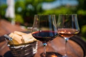 Halvdagsudflugt til Chianti: Smag hjertet af Toscana