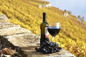 Half-Day Tour from Florence: Chianti Colors & Flavors