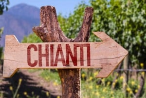 Halvdagstur fra Firenze: Chiantis farver og smage