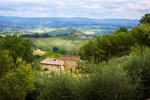 Halvdagstur till San Gimignano från Florens