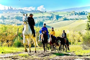 Horseback Riding with Wine Tour from Florence
