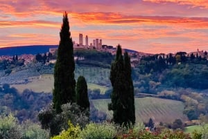 Верховая езда с винным туром из Флоренции