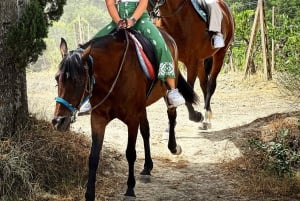 Верховая езда с винным туром из Флоренции