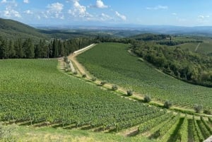 Верховая езда с винным туром из Флоренции