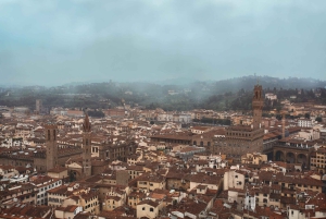 La Spezia: Florence Shore Excursion with Academia Museum