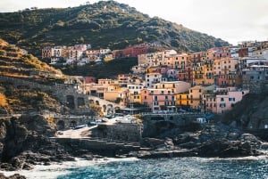 La Spezia: Landutflukt i Firenze med Academia Museum